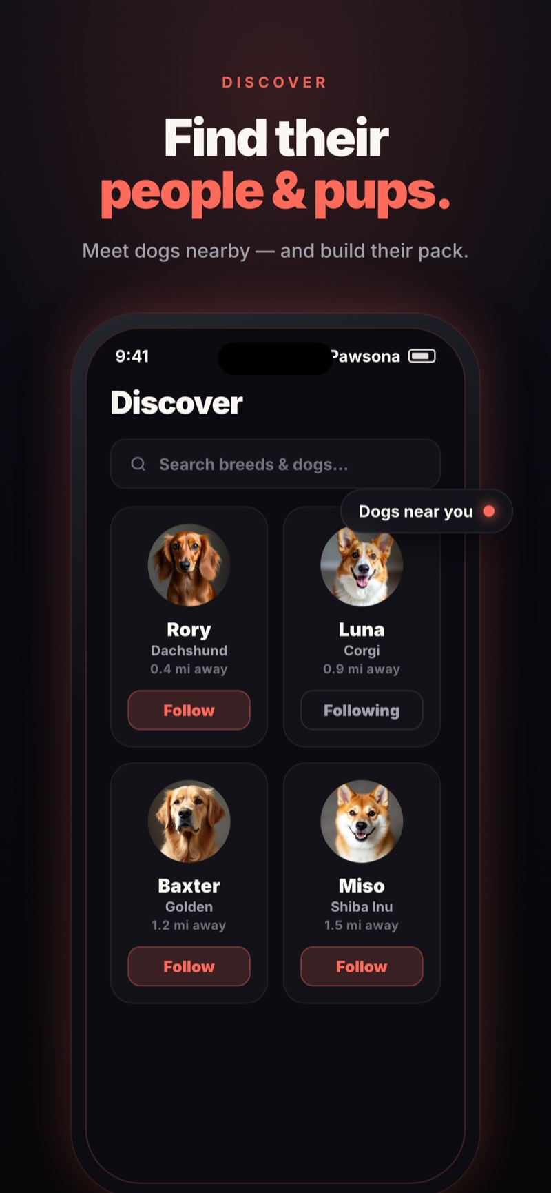 Pawsona — discover dogs and owners nearby
