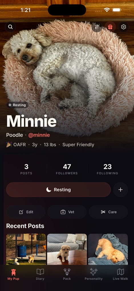 Pawsona — a dog profile in the app
